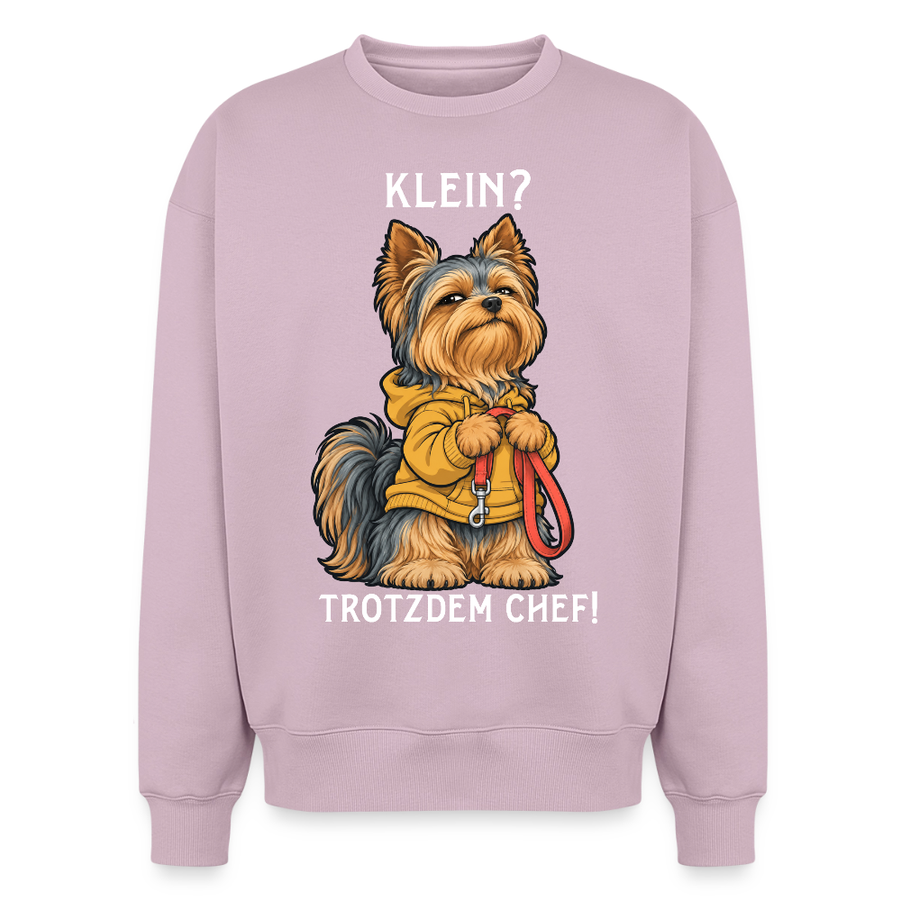 Yorkshire Terrier Sweater in Altrosa – lustiger Cartoon-Hund mit Spruch „Klein?“ auf der Rückseite | Geschenk für Hundeliebhaber von Pfotenart