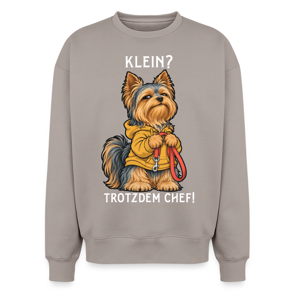 Yorkshire Terrier Sweater in Taupe – lustiger Cartoon-Hund mit Spruch „Klein?“ auf der Rückseite | Geschenk für Hundeliebhaber von Pfotenart