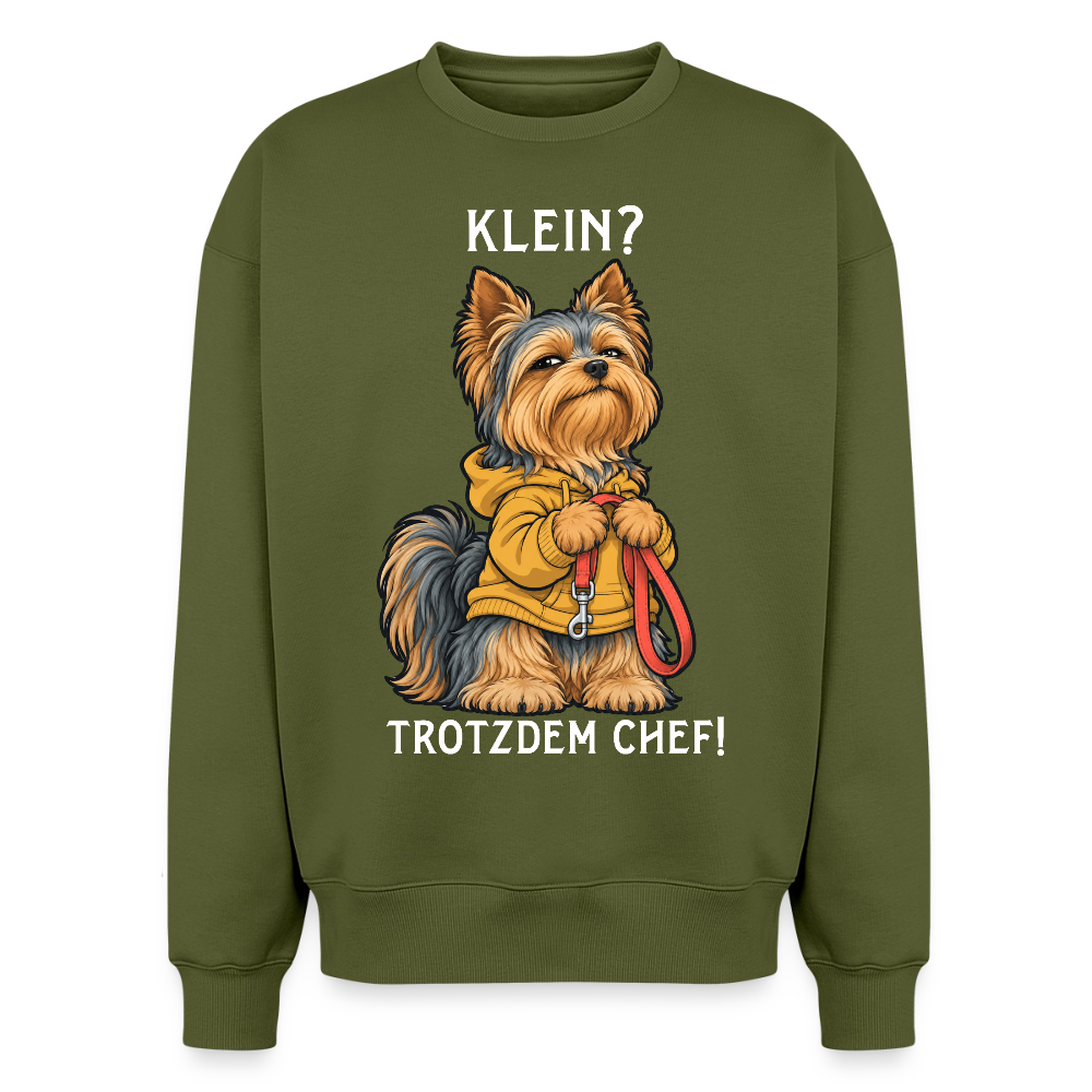 Yorkshire Terrier Sweater in Khaki – lustiger Cartoon-Hund mit Spruch „Klein?“ auf der Rückseite | Geschenk für Hundeliebhaber von Pfotenart