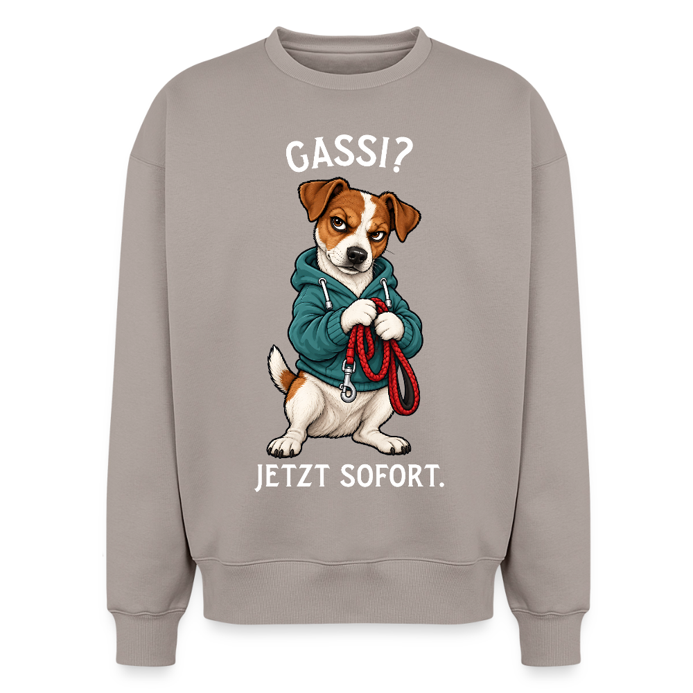 Jack Russell Sweater in Taupe – lustiger Cartoon-Hund mit Spruch „Gassi“ auf der Rückseite | Geschenk für Hundeliebhaber von Pfotenart