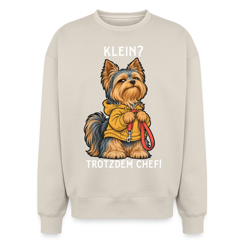 Yorkshire Terrier Sweater in Beige – lustiger Cartoon-Hund mit Spruch „Klein?“ auf der Rückseite | Geschenk für Hundeliebhaber von Pfotenart